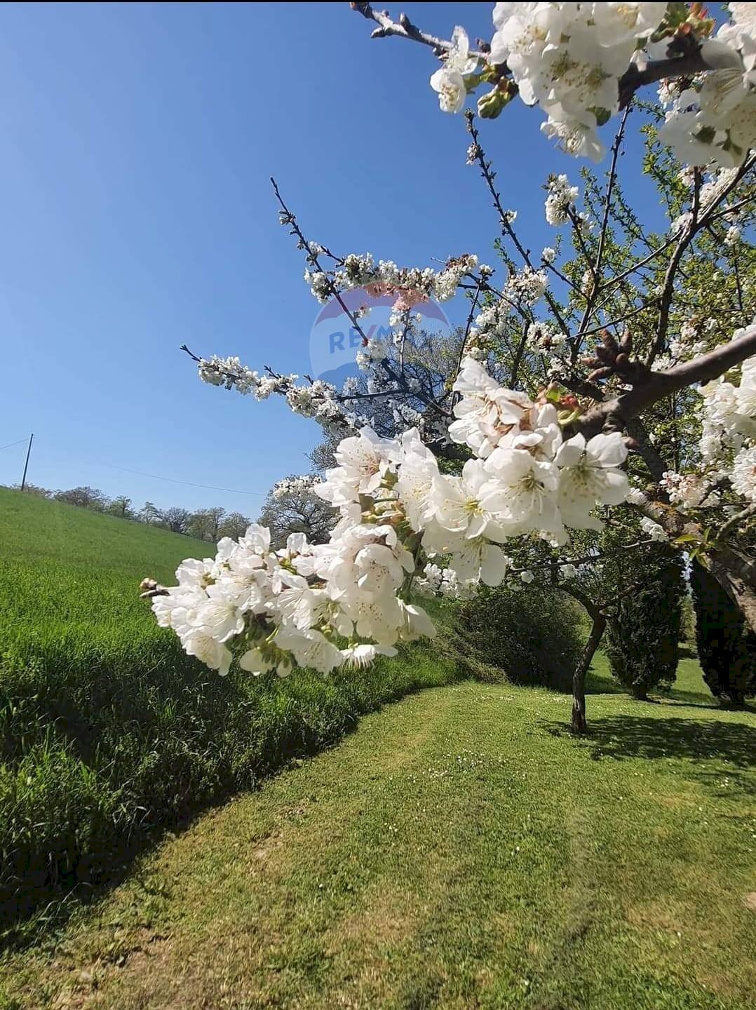 Giardino - Villa Via Della Ripa, Gubbio - photo 1