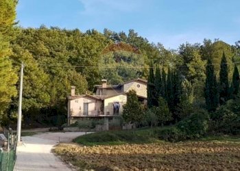 Giardino - Villa Via Della Ripa, Gubbio - photo 35