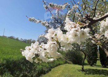 Giardino - Villa Via Della Ripa, Gubbio - photo 1