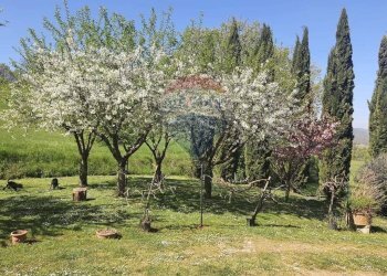 Giardino - Villa Via Della Ripa, Gubbio - photo 42
