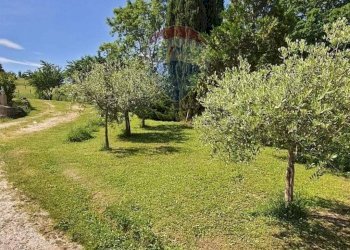 Giardino - Villa Via Della Ripa, Gubbio - photo 46