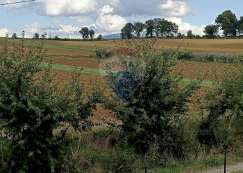 Giardino - Quadrilocale Strada Lidarno Petrignano
 
3 R, Perugia - foto 48