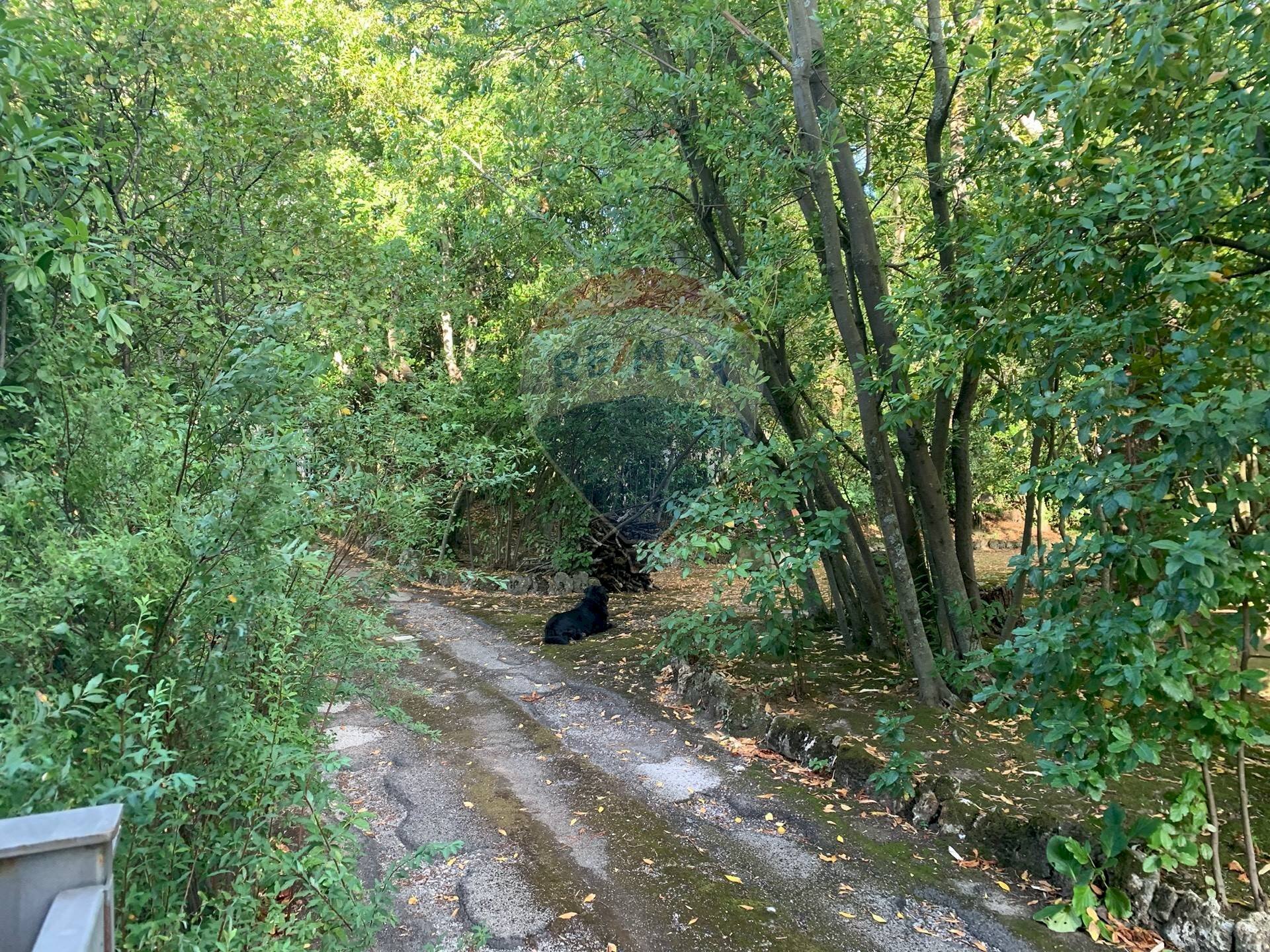 Giardino - Villa Perugia - foto 3