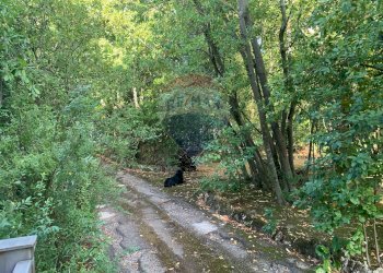 Giardino - Villa Perugia - foto 3