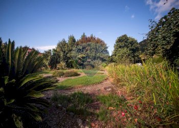 Giardino - Casa semi indipendente via Viviani
 
75, Levanto - foto 24