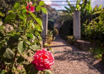 Giardino - Casa semi indipendente via Viviani
 
75, Levanto - foto 28