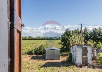 Giardino - Independent house Strada della Cisa
 
78, Brescello - photo 23