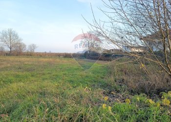 Giardino - Terreno edificabile Via Voghera
 
snc, Sannazzaro de' Burgondi - foto 4