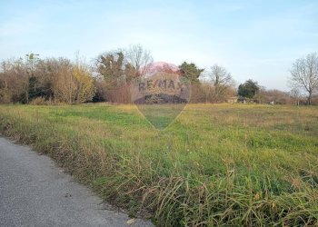 Giardino - Terreno edificabile Via Voghera
 
snc, Sannazzaro de' Burgondi - foto 5