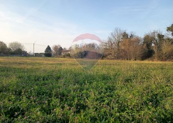 Giardino - Terreno edificabile Via Voghera
 
snc, Sannazzaro de' Burgondi - foto 6