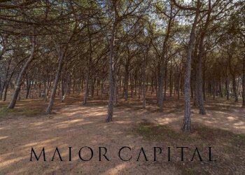 Foto 26 - Trilocale Via del Vecchio Marino
 
4, Palau - foto 26