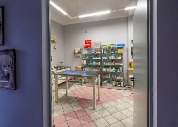 Foto 9 - Negozio Via Moretta
29, Torino - foto 9