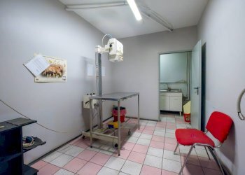 Foto 13 - Negozio Via Moretta
29, Torino - foto 13