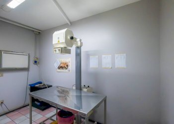 Foto 15 - Negozio Via Moretta
29, Torino - foto 15