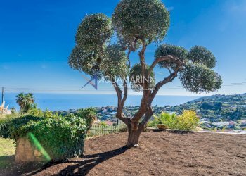 Foto 85 - Villa Sanremo - foto 85