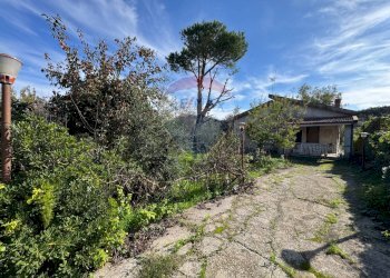 Giardino - Villa Via Della Zagara
 
12, Misilmeri - photo 6