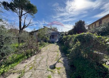 Giardino - Villa Via Della Zagara
 
12, Misilmeri - photo 7