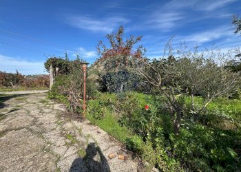 Giardino - Villa Via Della Zagara
 
12, Misilmeri - photo 8