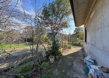 Giardino - Villa Via Della Zagara
 
12, Misilmeri - photo 11