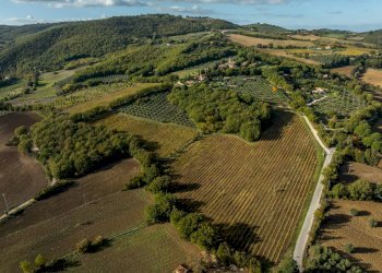 Foto 39 - Villa Vocabolo Canonica Vecchia
 
SNC, Todi - foto 39