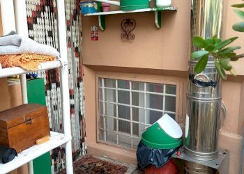 Foto 23 - Appartamento via guido ragli, Crespina Lorenzana - foto 23