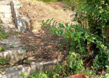 Foto 27 - Appartamento via guido ragli, Crespina Lorenzana - foto 27