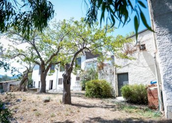 Giardino - Villa Patti - foto 27