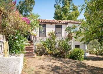 Giardino - Villa Patti - foto 48