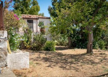 Giardino - Villa Patti - foto 49