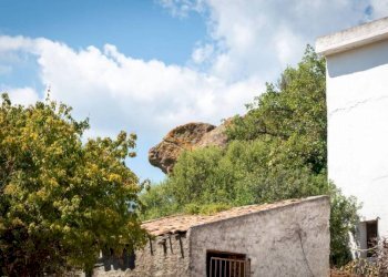 Giardino - Villa Patti - foto 50