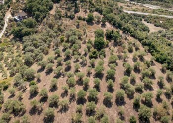 Terreno - Villa Patti - photo 5