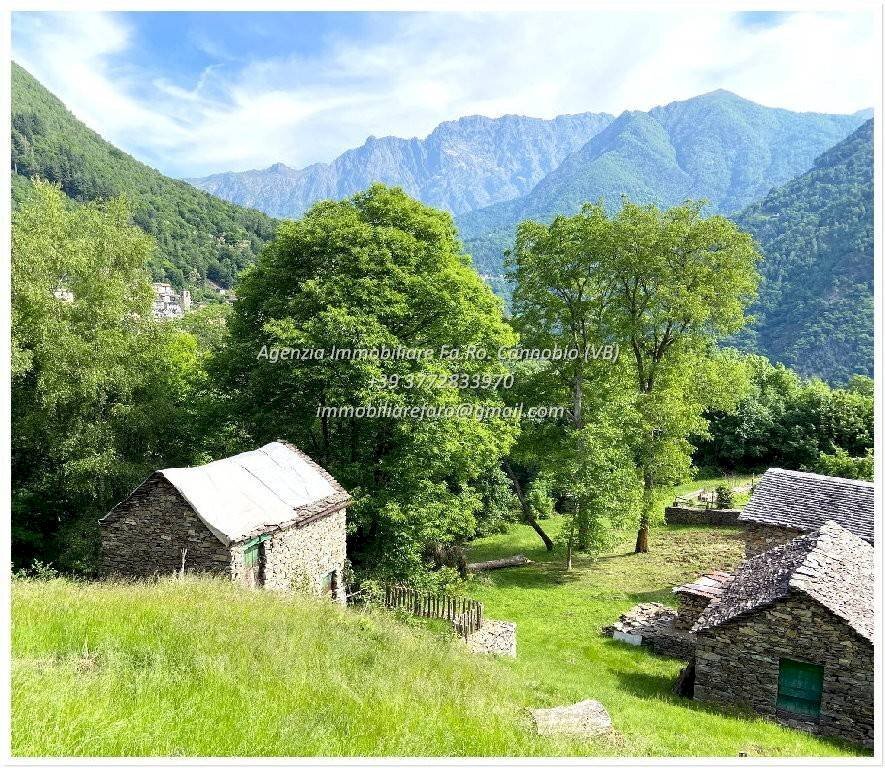 Vista - Rustico Frazione Crealla, Valle Cannobina - foto 2