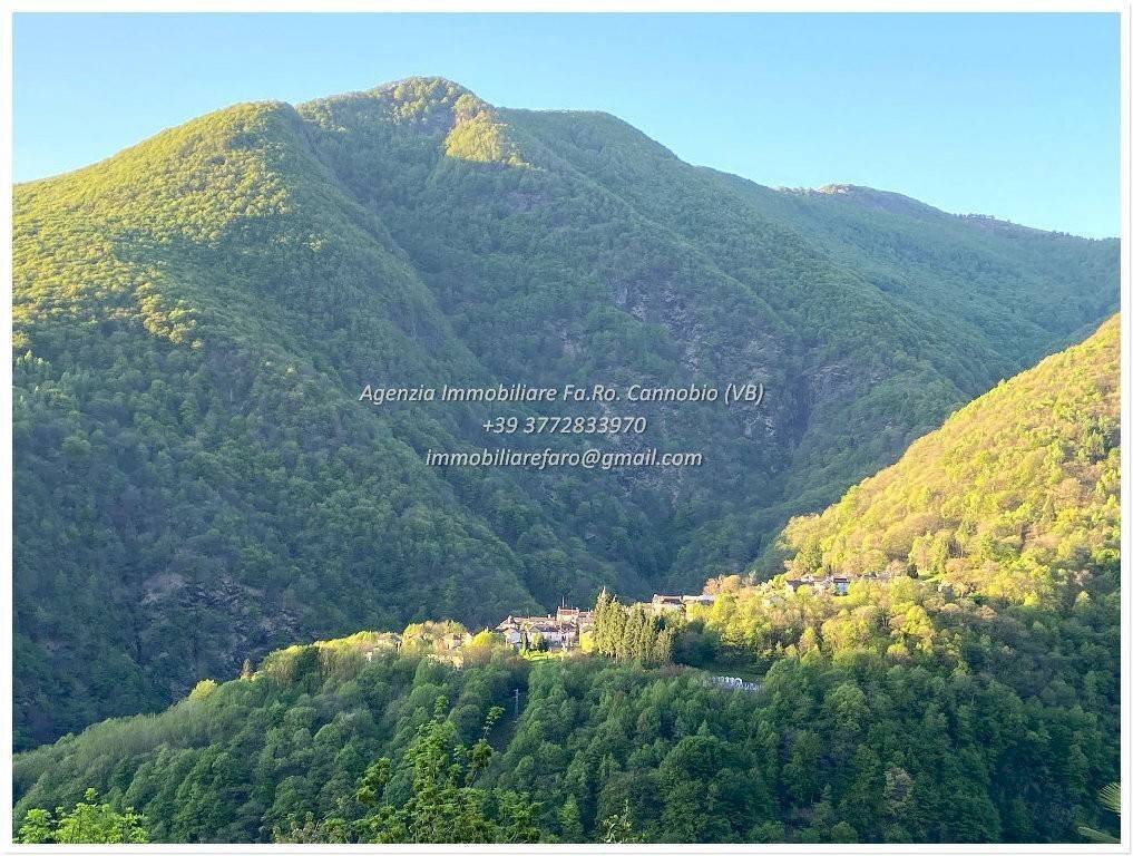 Vista - Rustico Frazione Crealla, Valle Cannobina - foto 3
