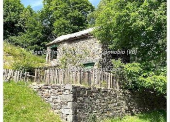 Terreno - Rustico Frazione Crealla, Valle Cannobina - foto 4