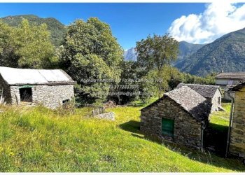 Terreno - Rustic Frazione Crealla, Valle Cannobina - photo 11