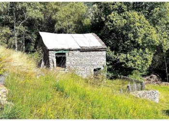 Terreno - Rustico Frazione Crealla, Valle Cannobina - foto 12