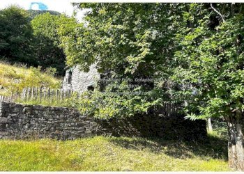 Terreno - Rustic Frazione Crealla, Valle Cannobina - photo 13