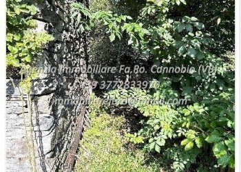 Terreno - Rustico Frazione Crealla, Valle Cannobina - foto 14