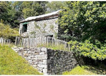 Terreno - Rustic Frazione Crealla, Valle Cannobina - photo 15