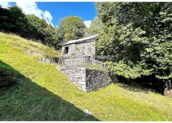 Giardino - Rustic Frazione Crealla, Valle Cannobina - photo 16