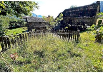 Terreno - Rustic Frazione Crealla, Valle Cannobina - photo 17