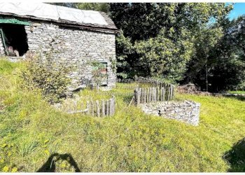 Terreno - Rustic Frazione Crealla, Valle Cannobina - photo 19