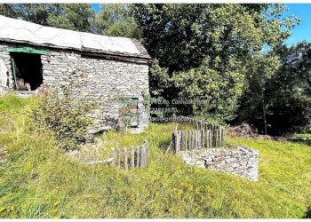 Terreno - Rustic Frazione Crealla, Valle Cannobina - photo 20