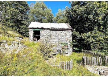 Terreno - Rustic Frazione Crealla, Valle Cannobina - photo 22