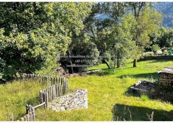 Terreno - Rustic Frazione Crealla, Valle Cannobina - photo 26