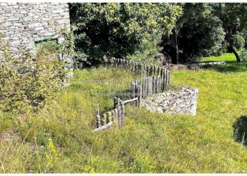 Terreno - Rustic Frazione Crealla, Valle Cannobina - photo 27