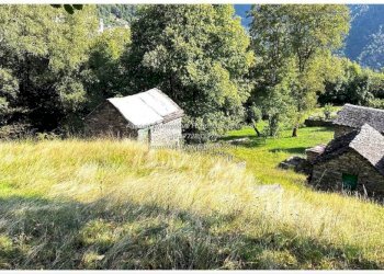 Terreno - Rustico Frazione Crealla, Valle Cannobina - foto 28