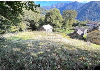 Terreno - Rustic Frazione Crealla, Valle Cannobina - photo 29