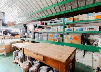 Dispensa di stoccaggio - Shed Via 4 Novembre
 
46, Cabiate - photo 20