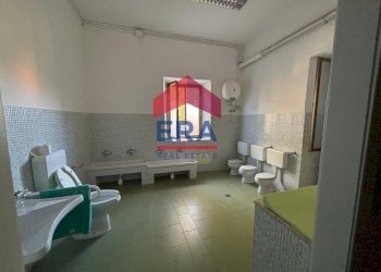 Foto 14 - Office via della Folgarella
 
88, Ciampino - photo 14